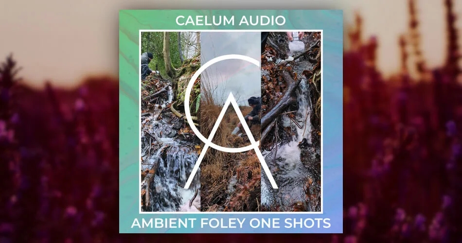 1710287529484489.jpg Caelum-Audio-Ambient-Foley-One-Shots.jpg.webp.jpg